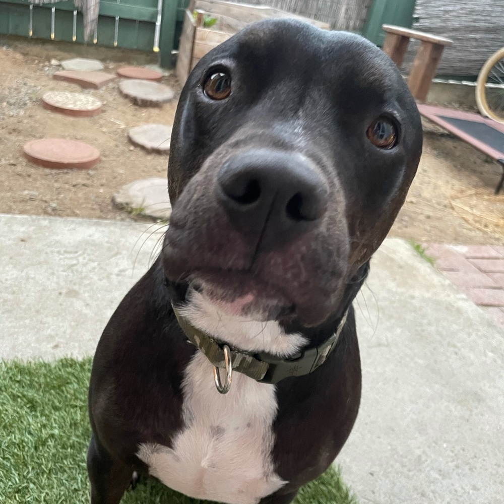 Meet your Posher, Erika